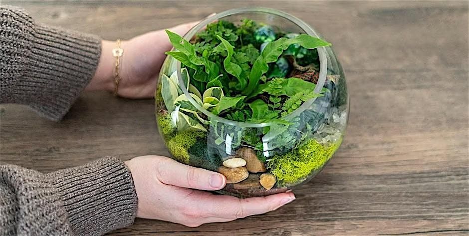 Make-n-Take : Terrariums at Mahoney's Tewksbury