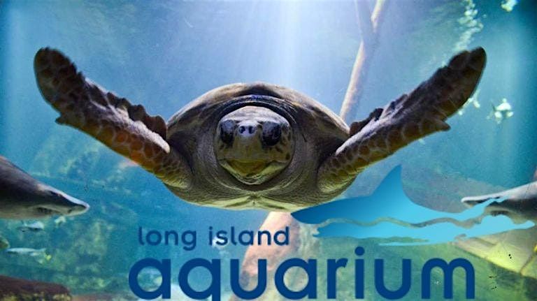 7 in Heaven Singles Events Aquarium Visit - All Ages Riverhead