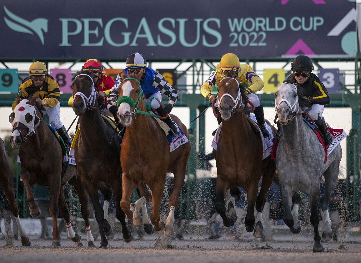 Horse Racing at Santa Anita Park