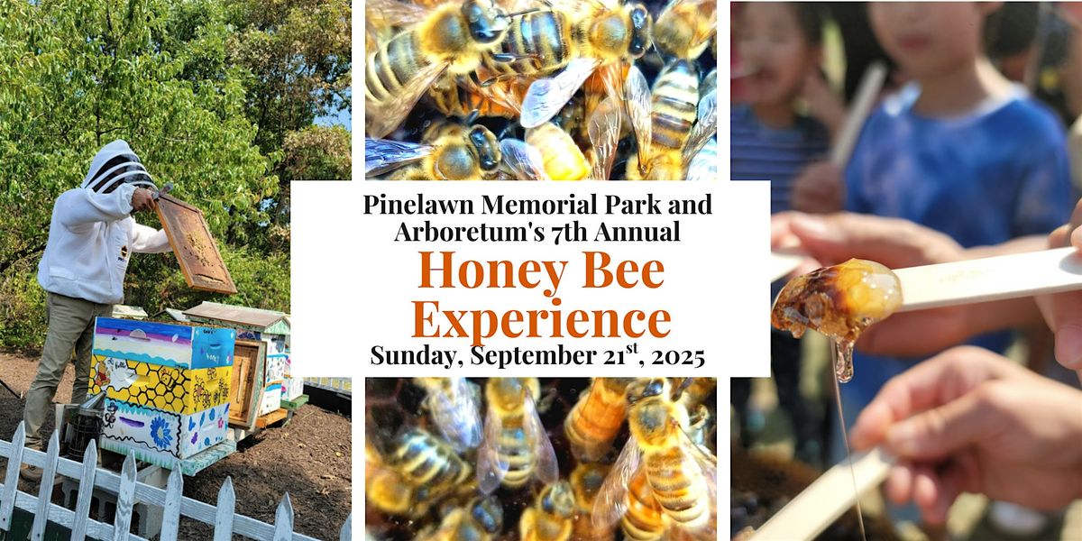 7th Annual Honeybee Experience- Scout Session!