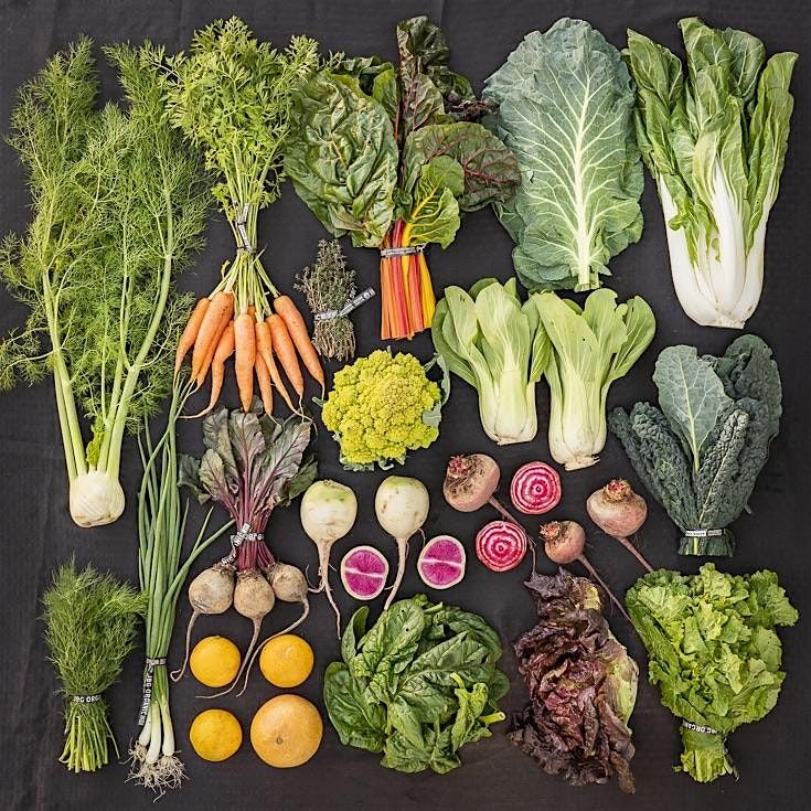 WELLness talk & tour