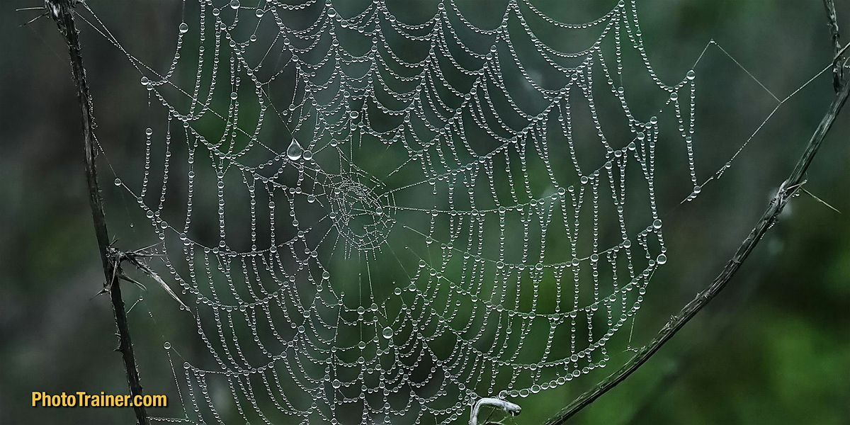 DSLR\/M Camera Jumpstart Class