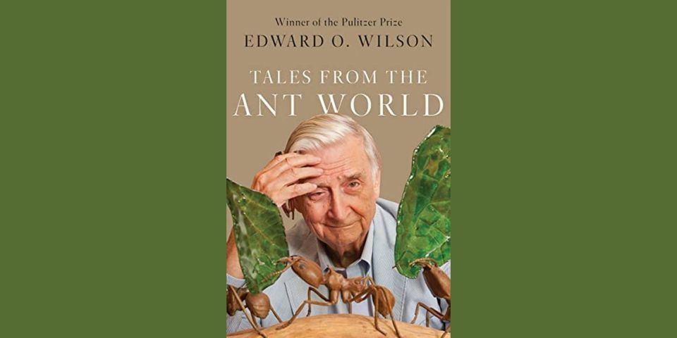 Nature Lover's Book Club: "Tales From the Ant World" by Edward O. Wilson