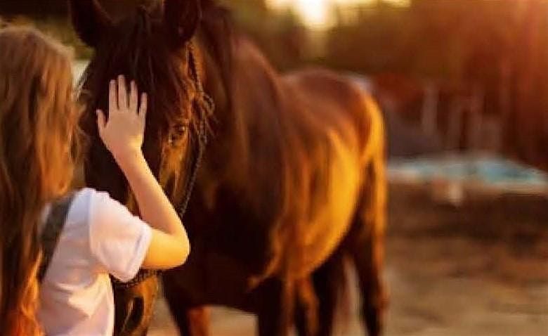 Horses for Healing Equestrian Program - 01\/20\/2026 - 03\/10\/2026