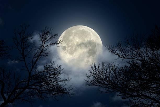Thirteen Moons of Witchery: The Witch's Goddess