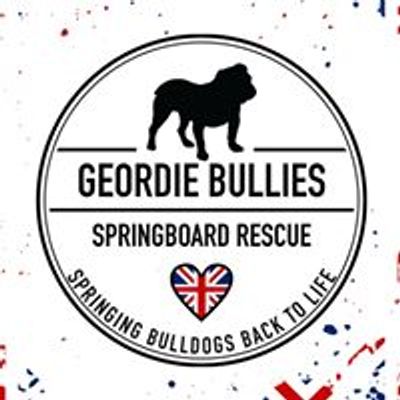 Geordie Bullies Springboard Rescue UK