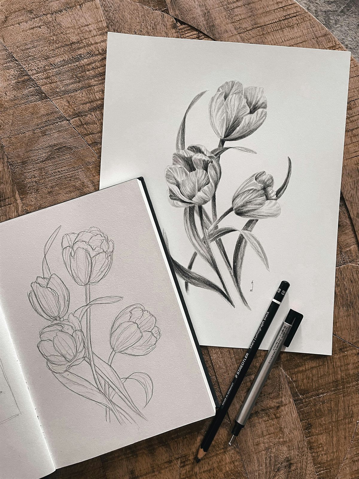 Beginner Drawing: 4 Week Adult Class at Studio Sienna