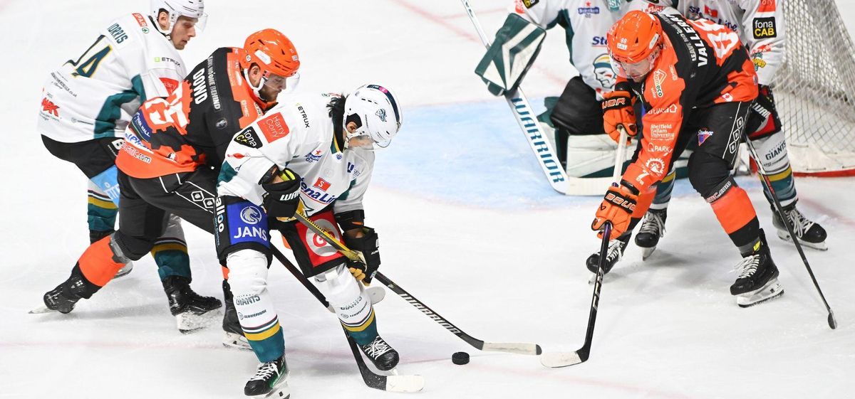 Belfast Giants at Sheffield Steelers Mens Ice Hockey at Utilita Arena Sheffield