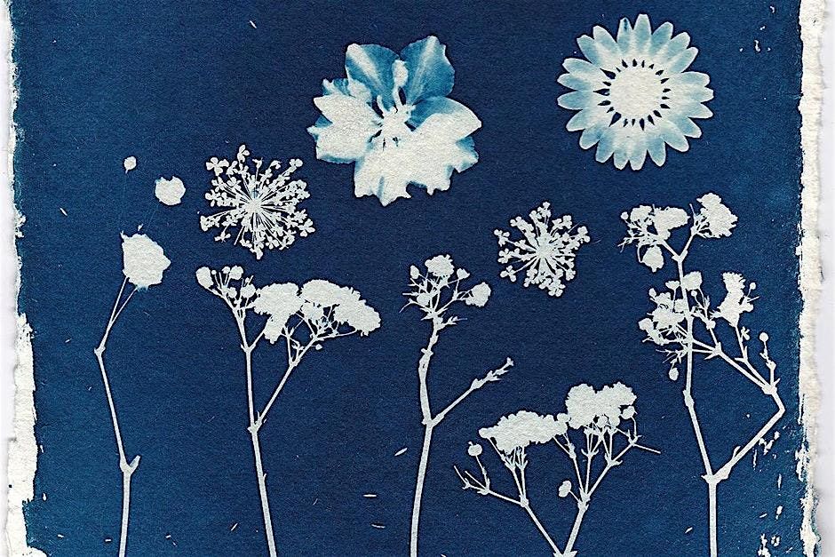 Cyanotype Workshop