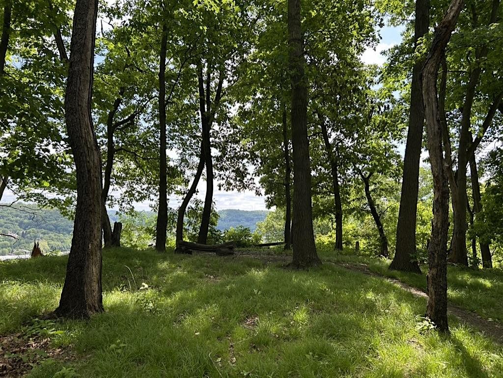 Hays Woods Ranger Guided Hike- Overlooks