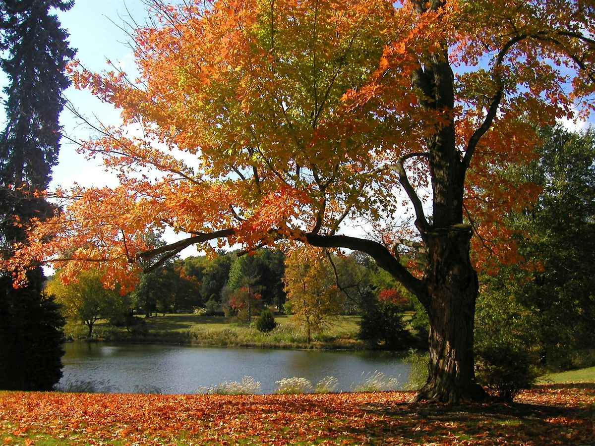 Dendrology Workshop