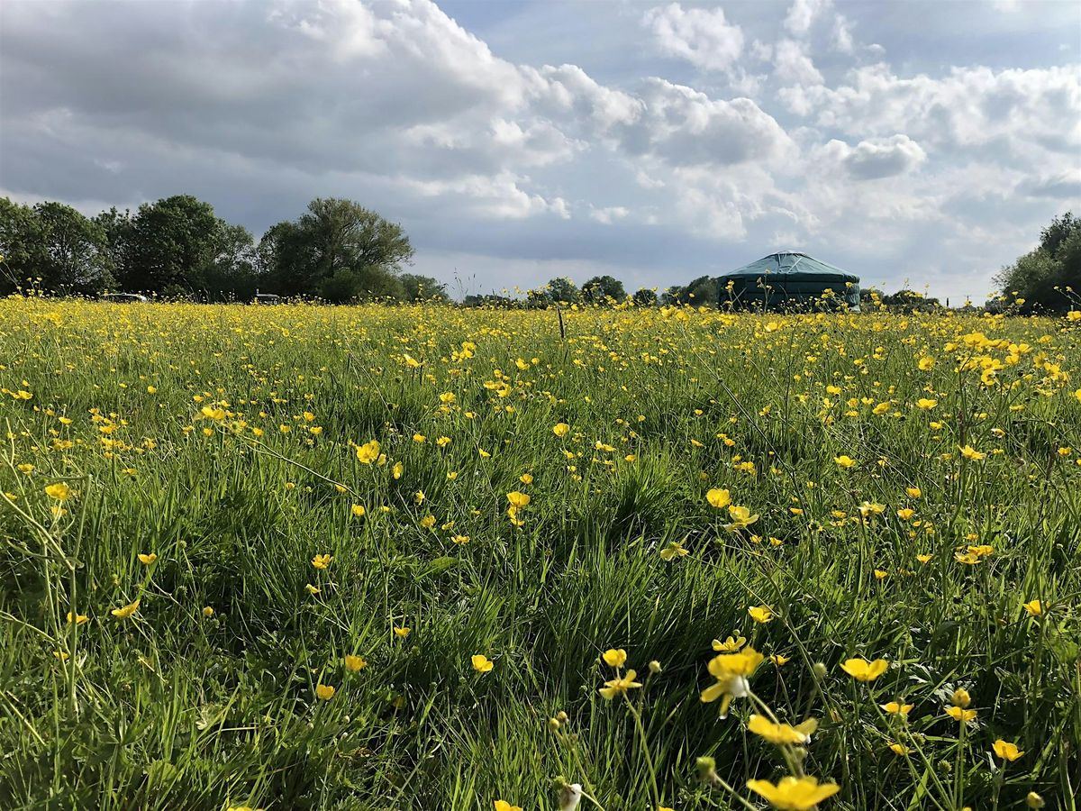 Support Bridie's Farm