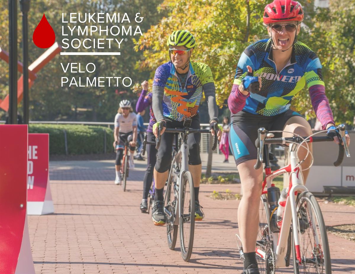 LLS Velo Palmetto