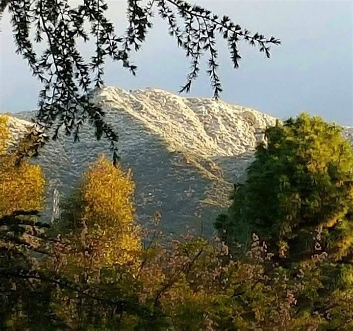 2025 Altadena Town Council Holiday Celebration