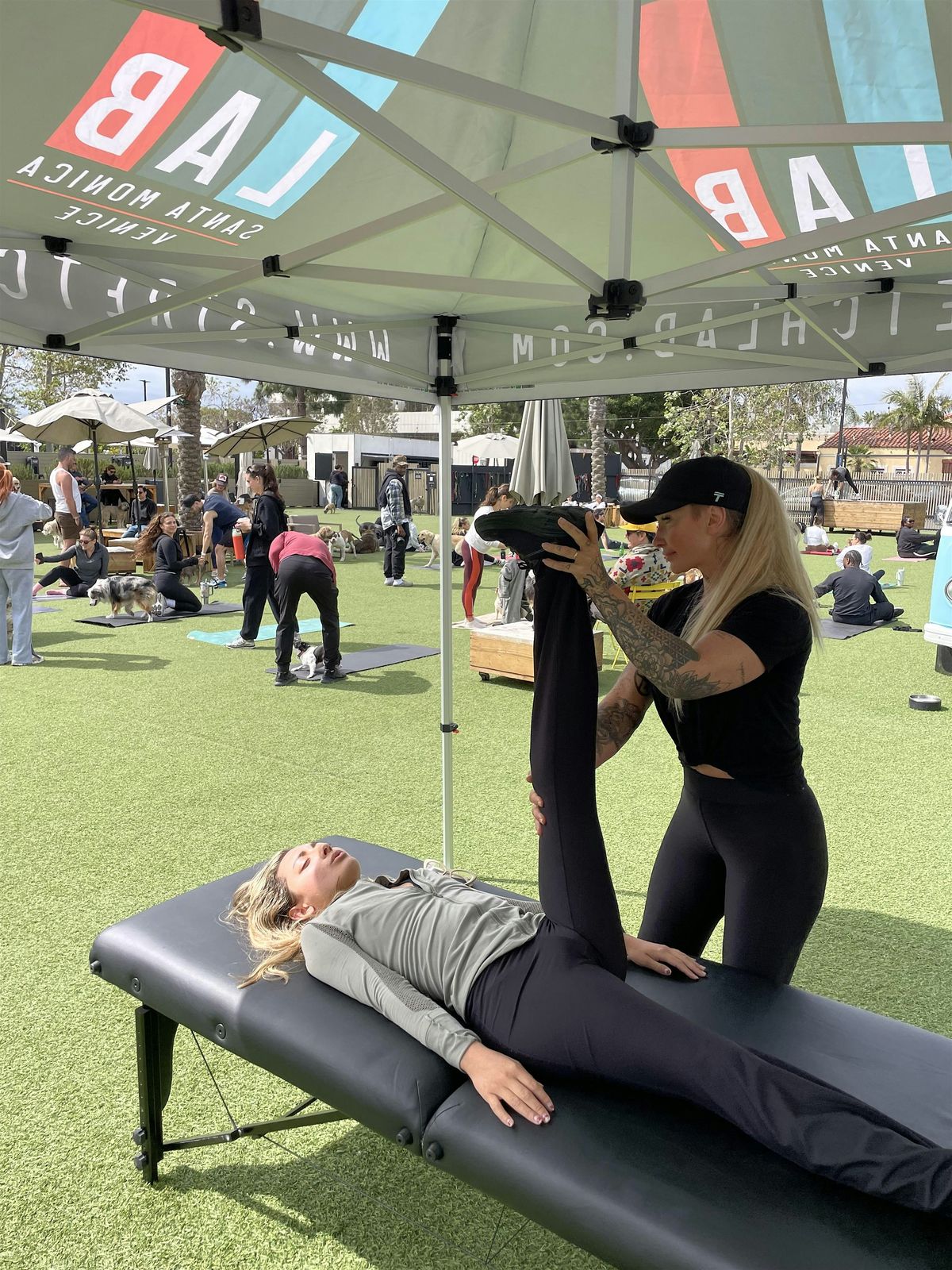 StretchLab at DOG PPL: Canine Fitness Club