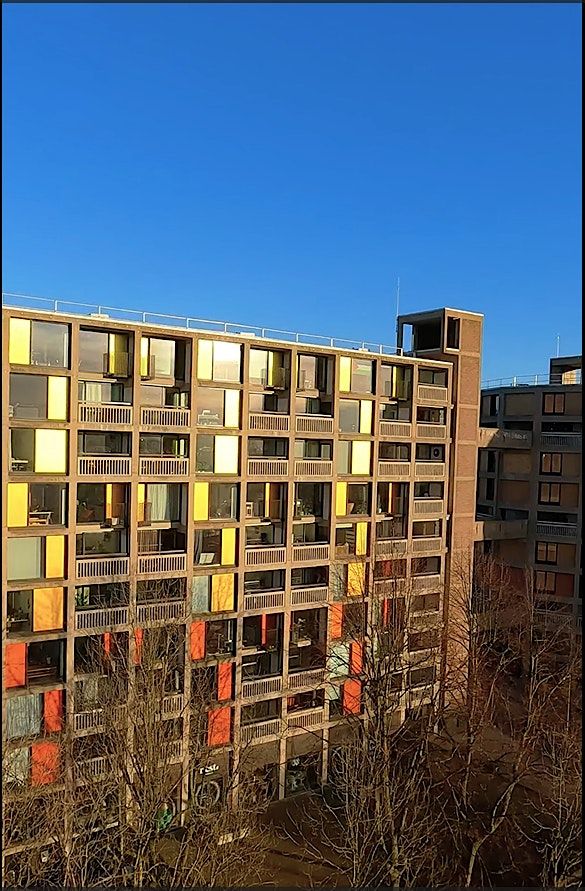 Island Networking - Park Hill Christmas Bash!