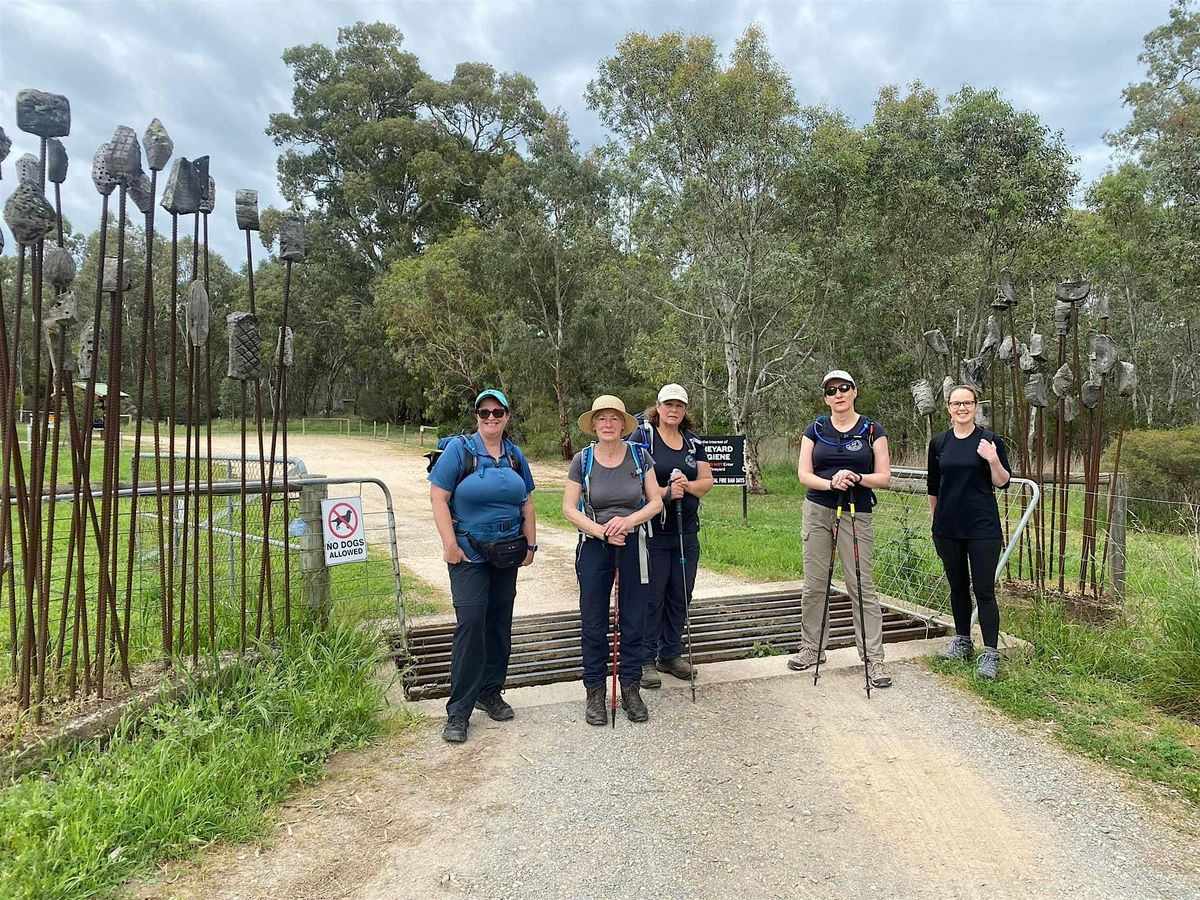 Willunga Week - Section 11- Sunday 16th November