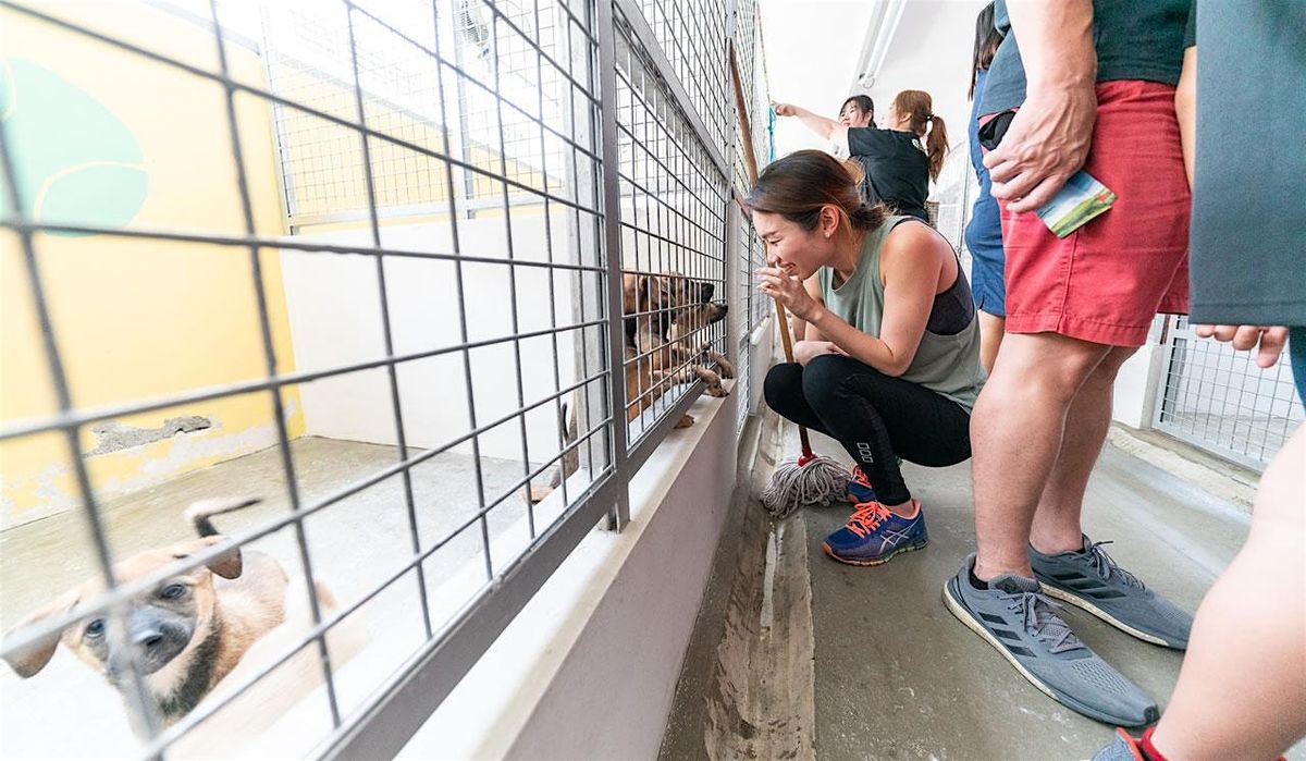 SOSD Shelter Tour Dec 2025