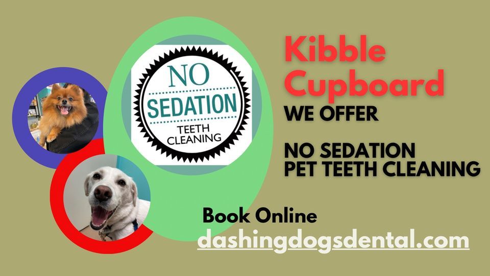 Dog & Cat Teeth Cleaning - Abbotsford