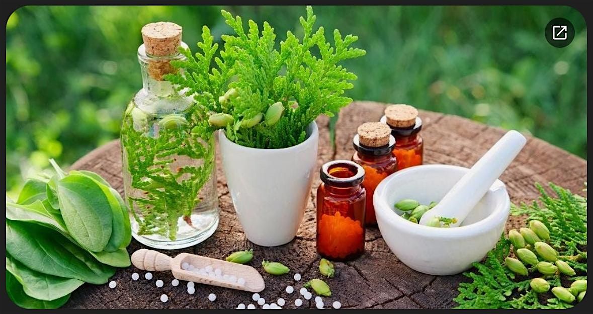 Herbal Hygge: Crafting a Calm & Cozy Winter Nervous System