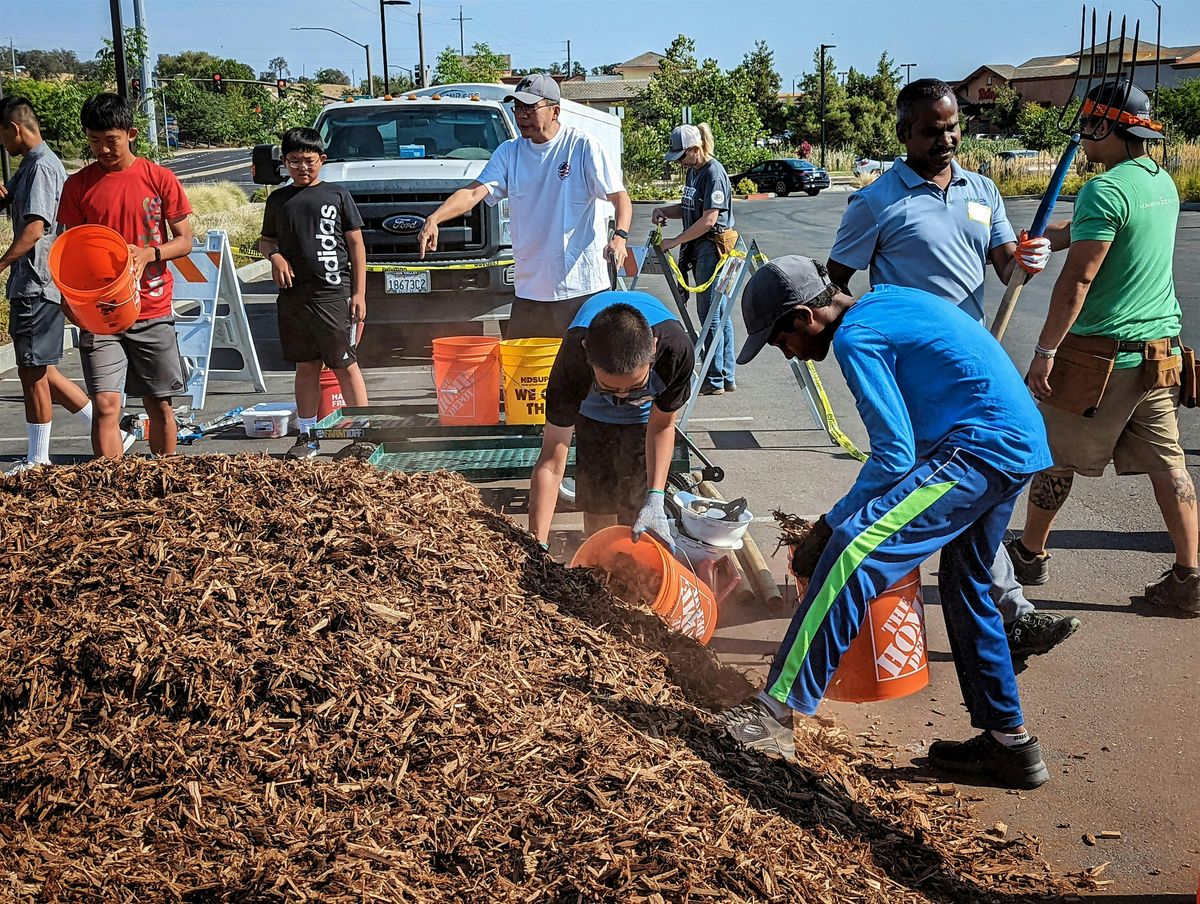 Del Rio Bike Path Tree Care