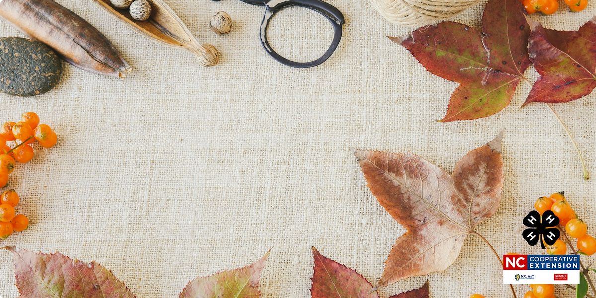 4-H Fair Countdown: Fall Crafts