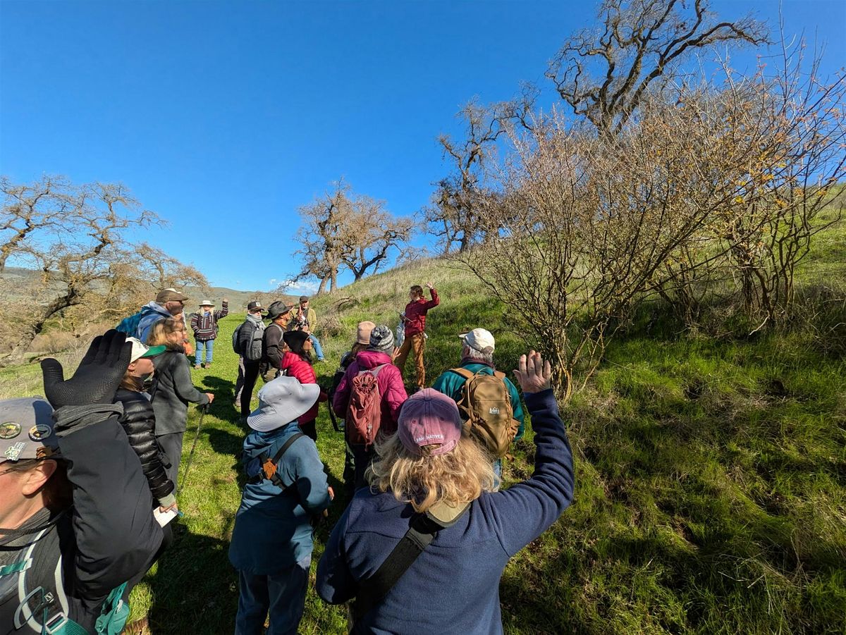 Water, Wildlife and Connectivity Guided Hike at Spreckels Hill!