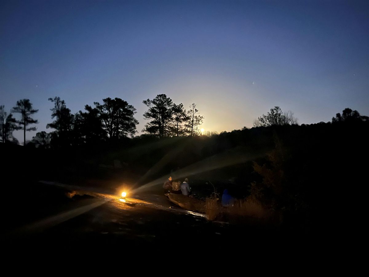 Arabia "After Dark" Nature Hike