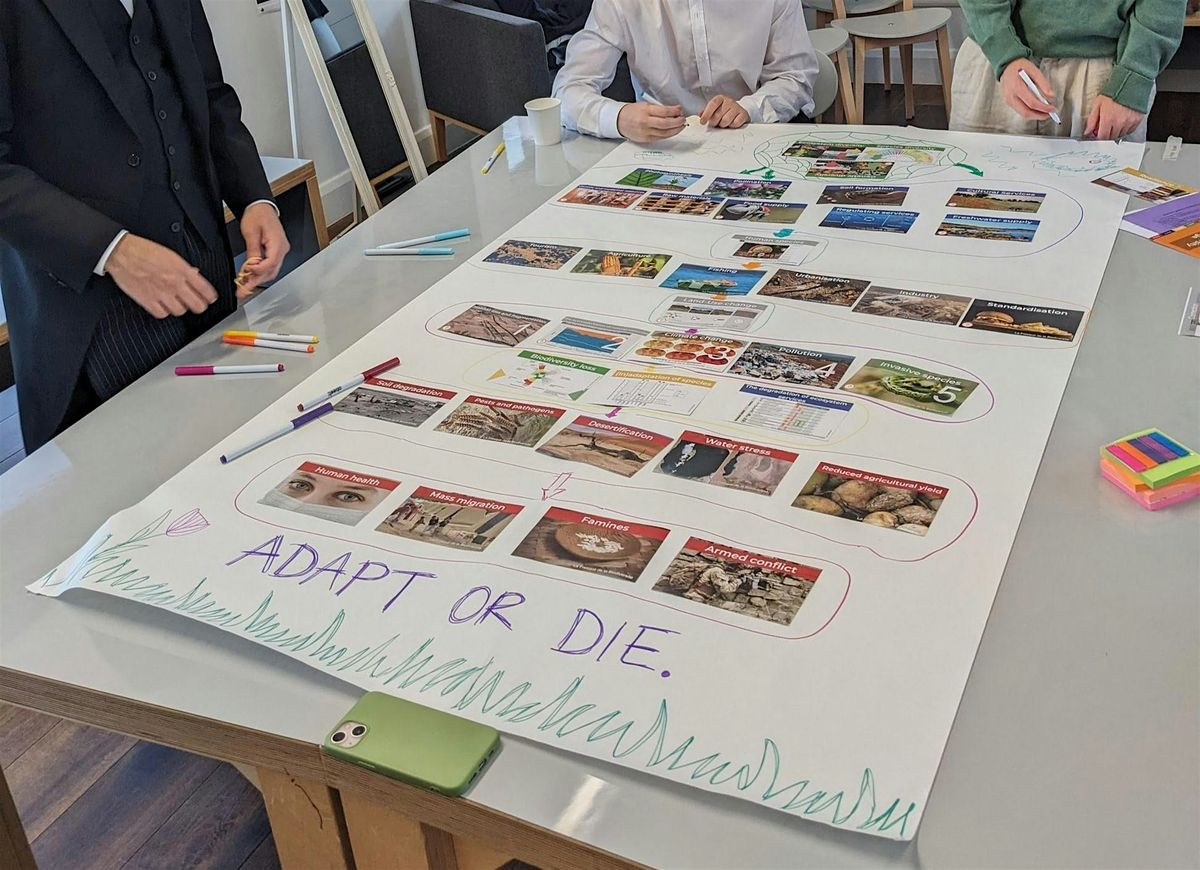 Biodiversity Collage - a game about saving nature