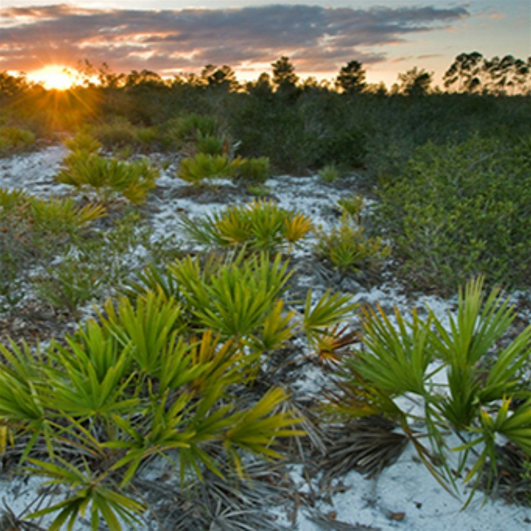 Sunset in the Scrub Hike