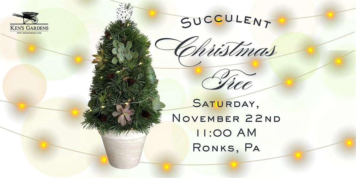 Succulent Christmas Tree (Ronks)