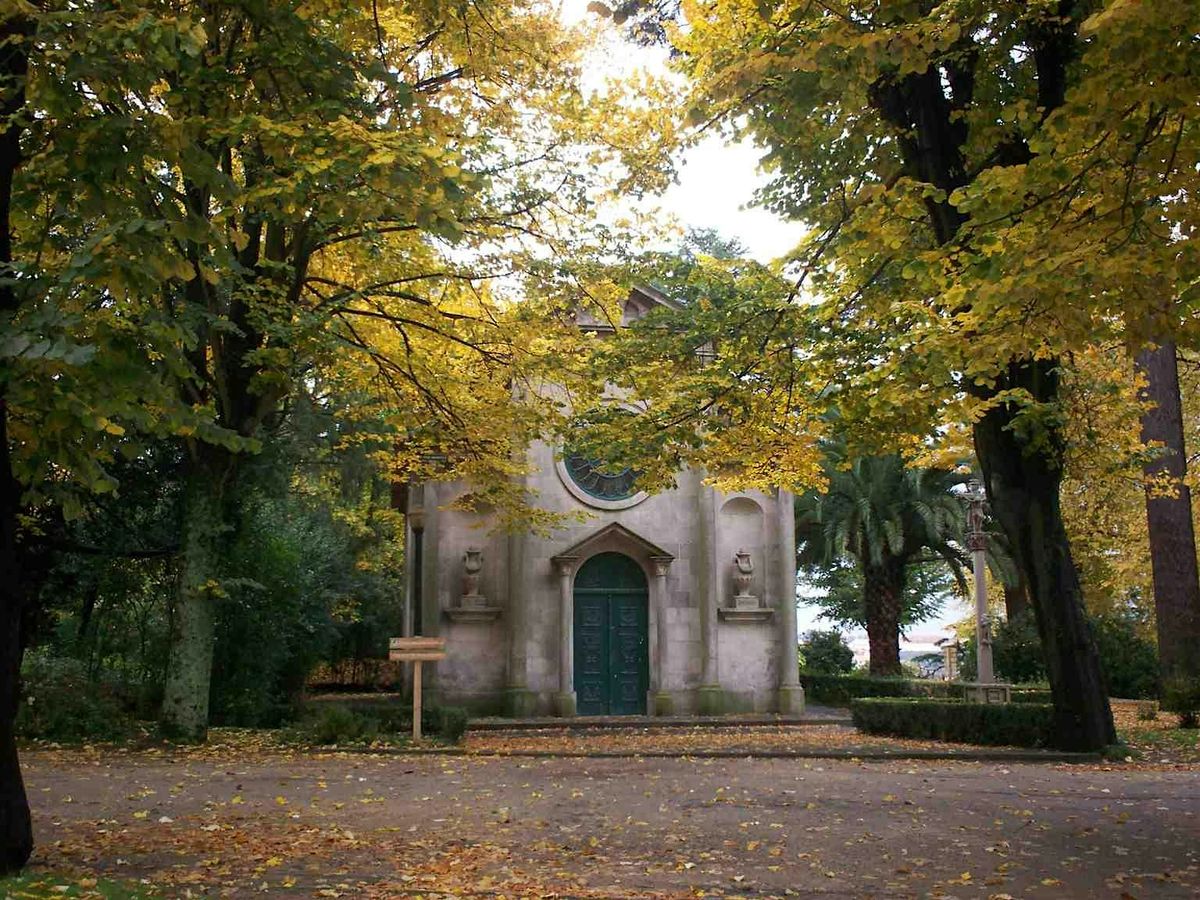 Porto Audio Tour: A Journey Through History, Greenery, and Culture