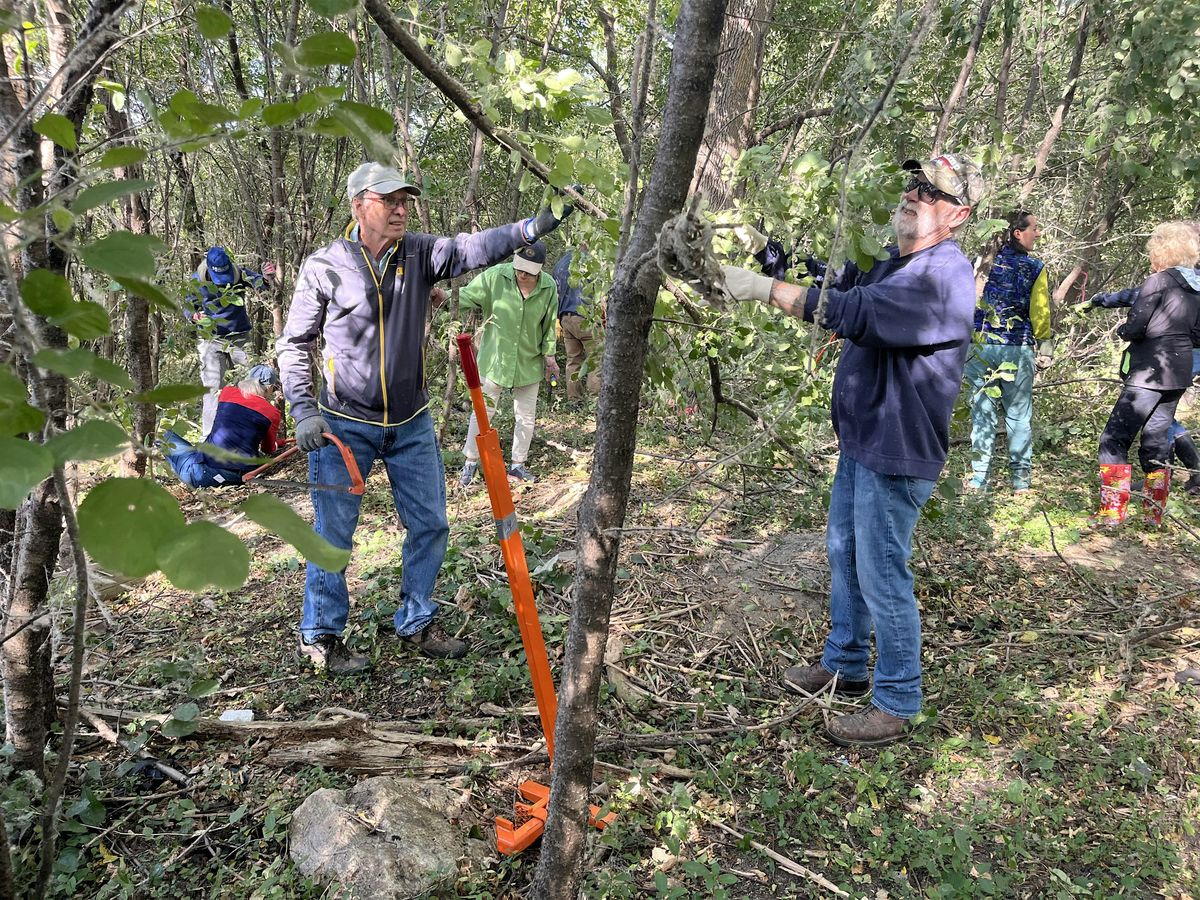 Invasive Buckthorn Bust