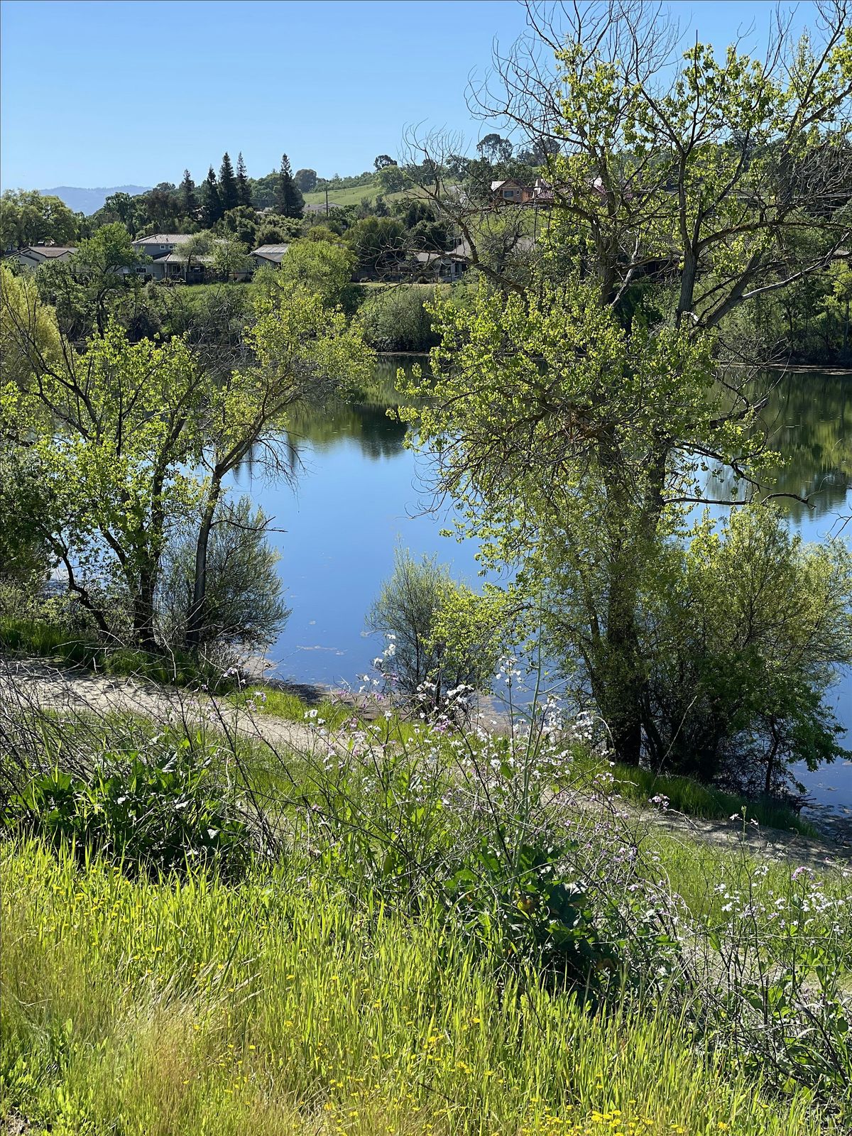 Women's Rosh Chodesh: Hike from CBE to Shadow Cliffs