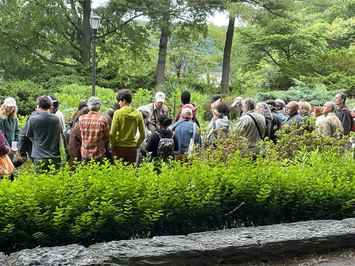 Guided Nature and Wildlife Walk with Ken Chaya