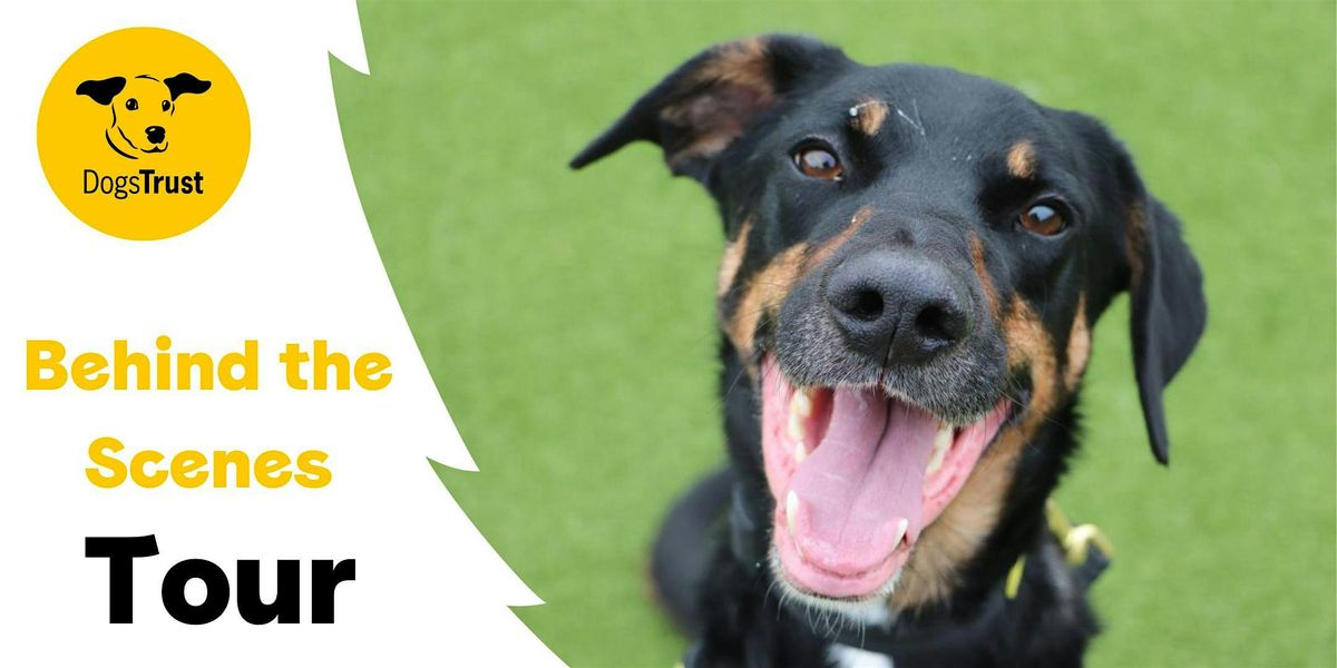 Dogs Trust Manchester - Behind the Scenes Tour
