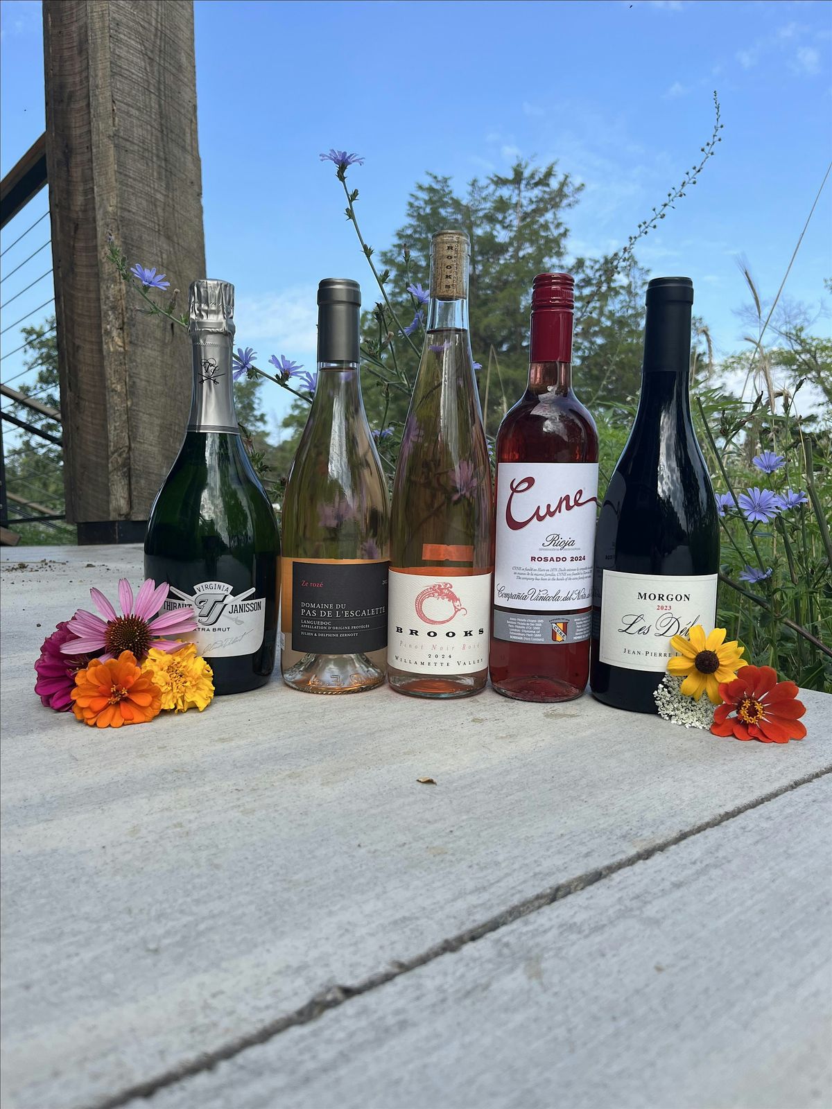 Last Taste of Summer