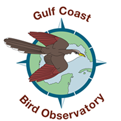 Gulf Coast Bird Observatory