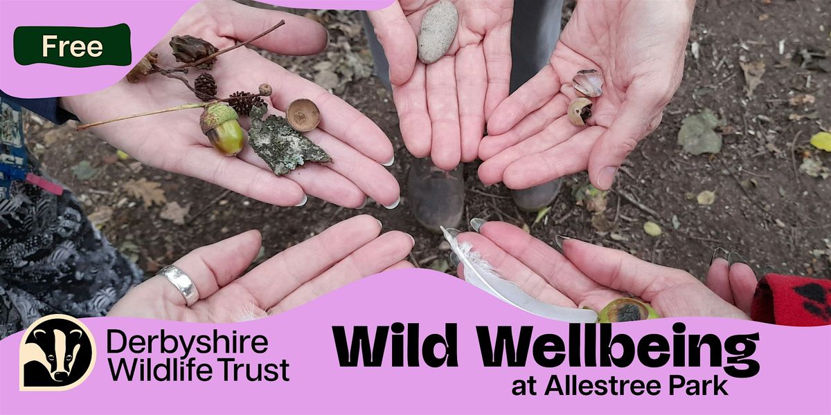 Wild Wellbeing at Allestree Park