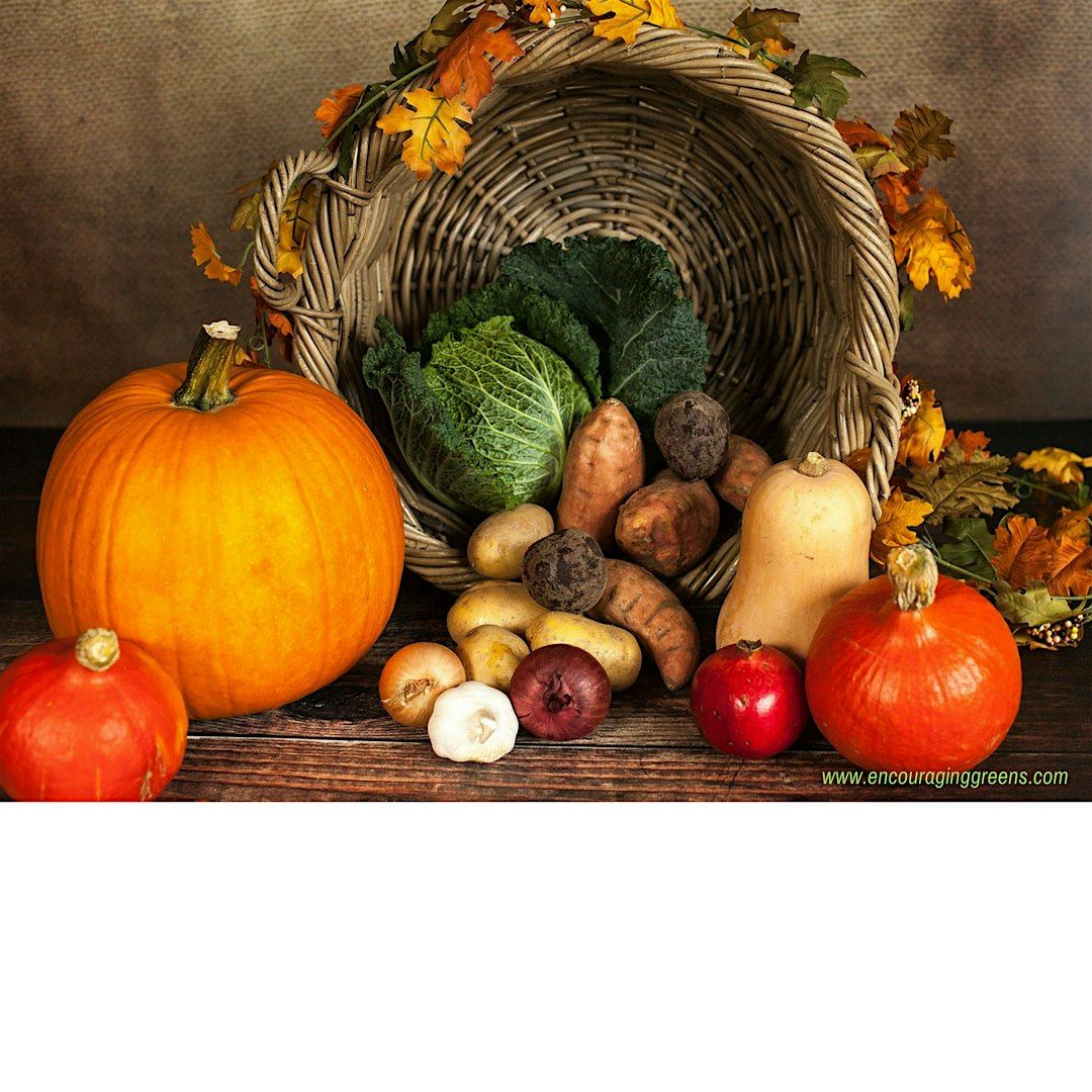 Lets NOT Talk Turkey: Thriving Plant-Based during the Holidays