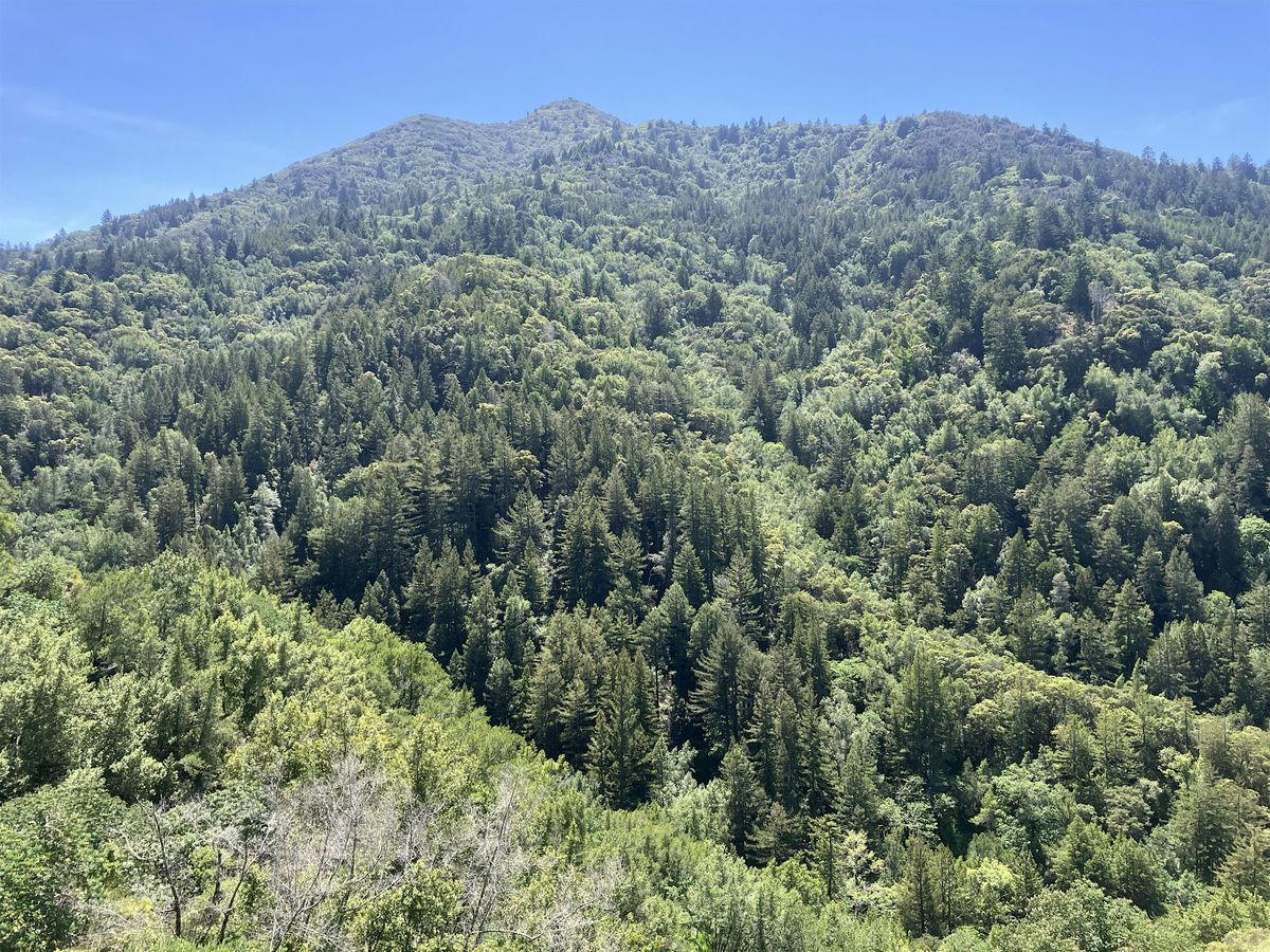 Camp On The Mountain, with LushNature.