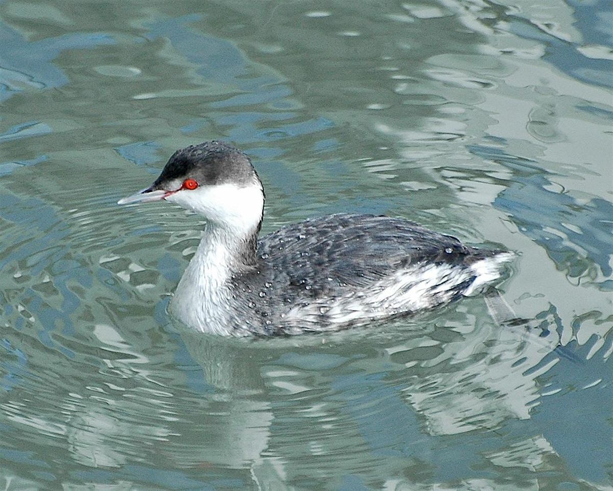 Winter Maritime Wanderers at Portage Lakefront & Riverwalk