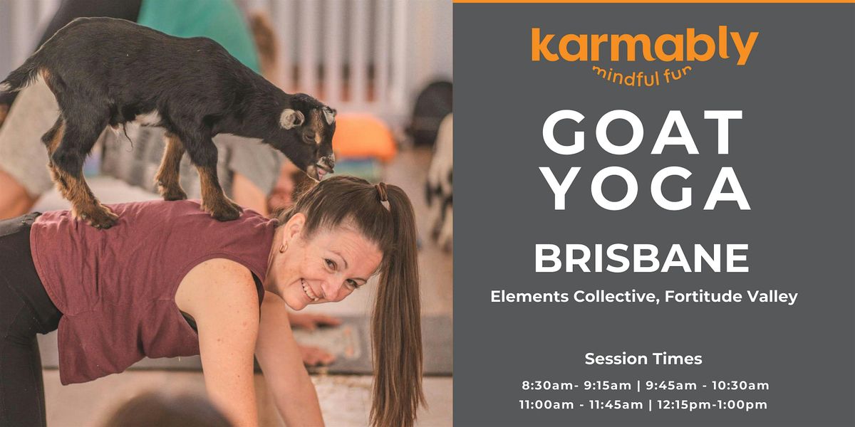 Goat Yoga Brisbane