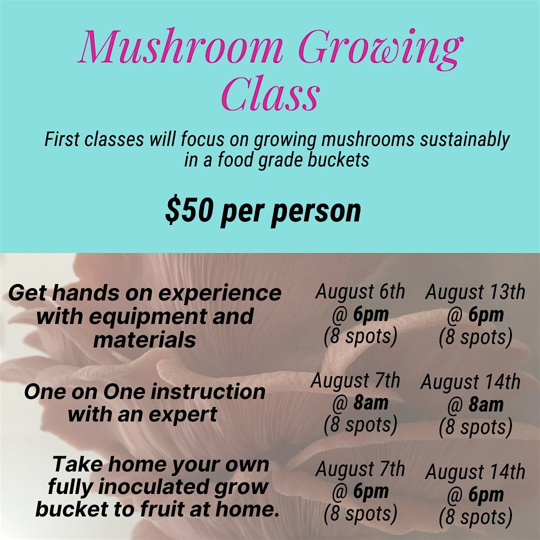 Mushroom Growing Class Series: Sustainable Bucket Technique