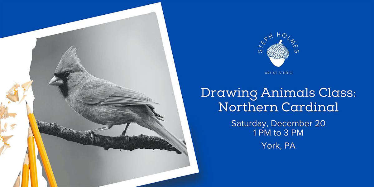 Drawing Animals Class: Northern Cardinal