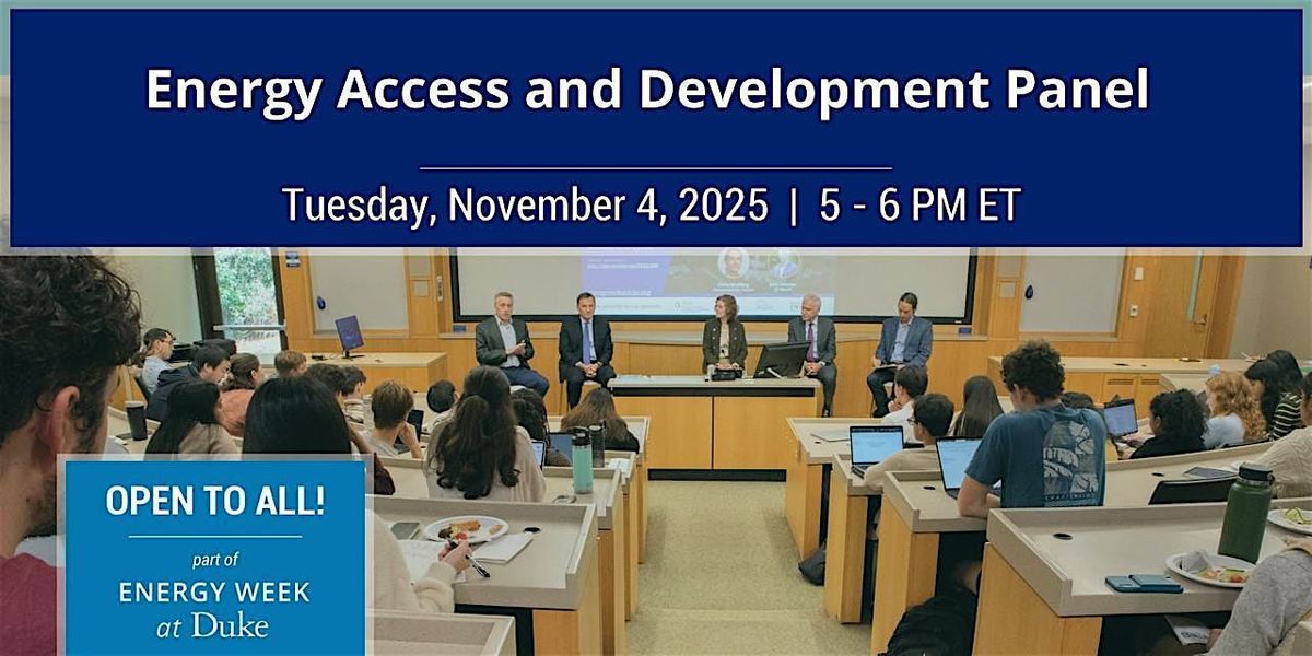 Energy Access and Development Panel