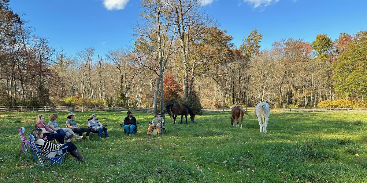 One-Day Retreat with Horses | Finding Your Forward