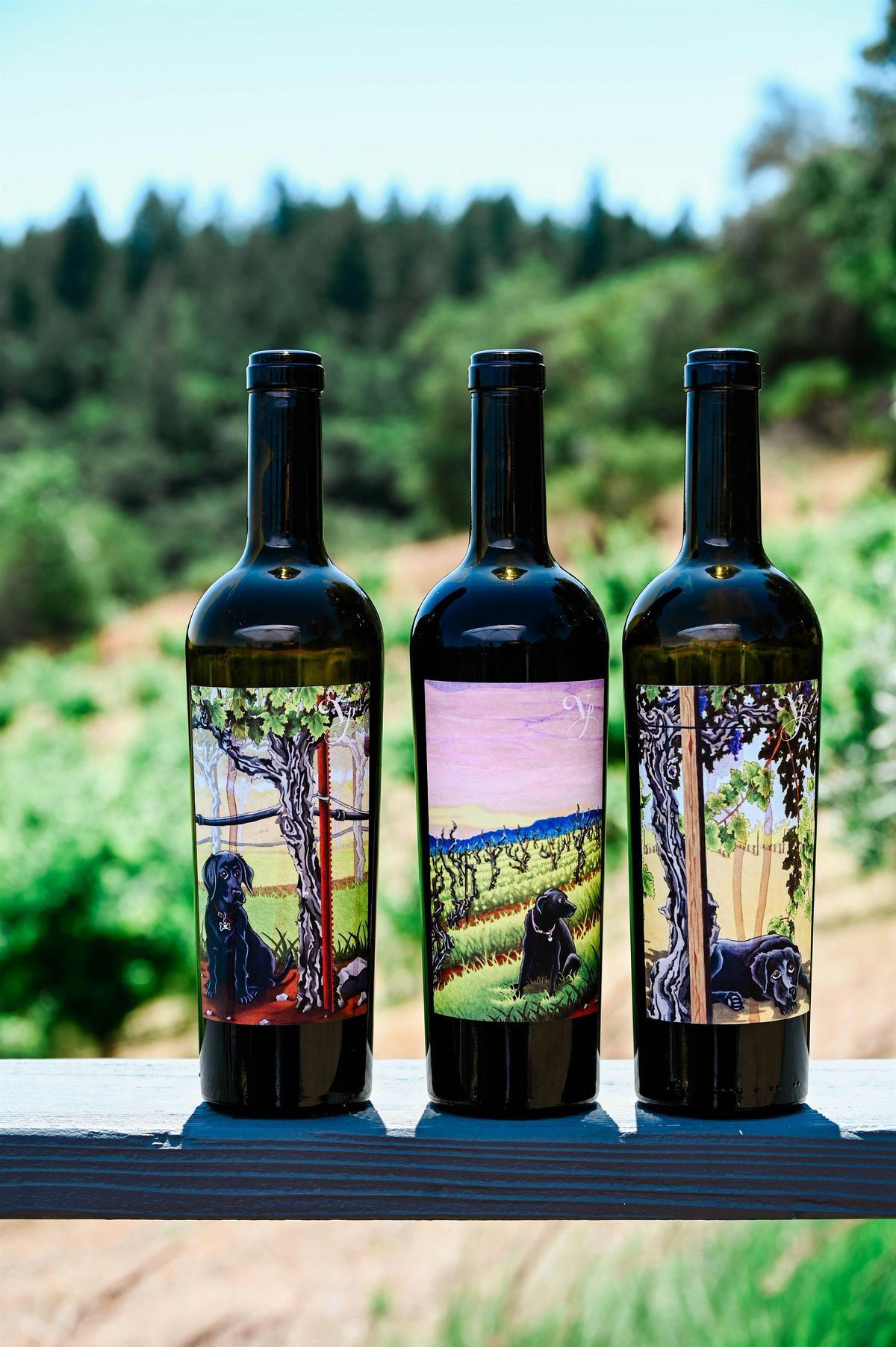 Violet\u2019s Paradise Fall Wines Release Party