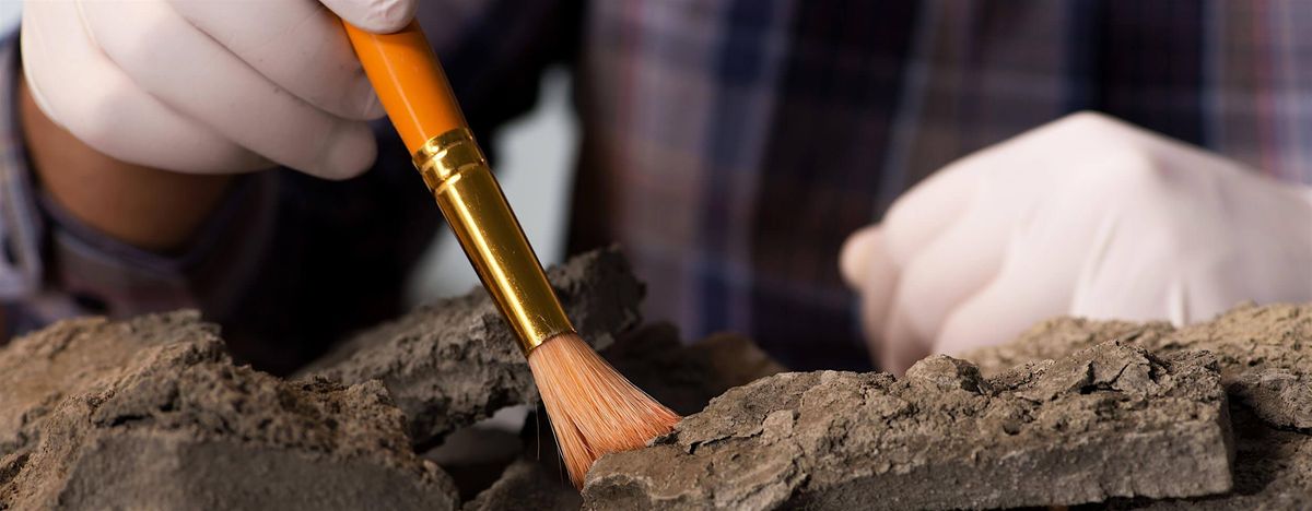 Virtual Archeology Merit Badge