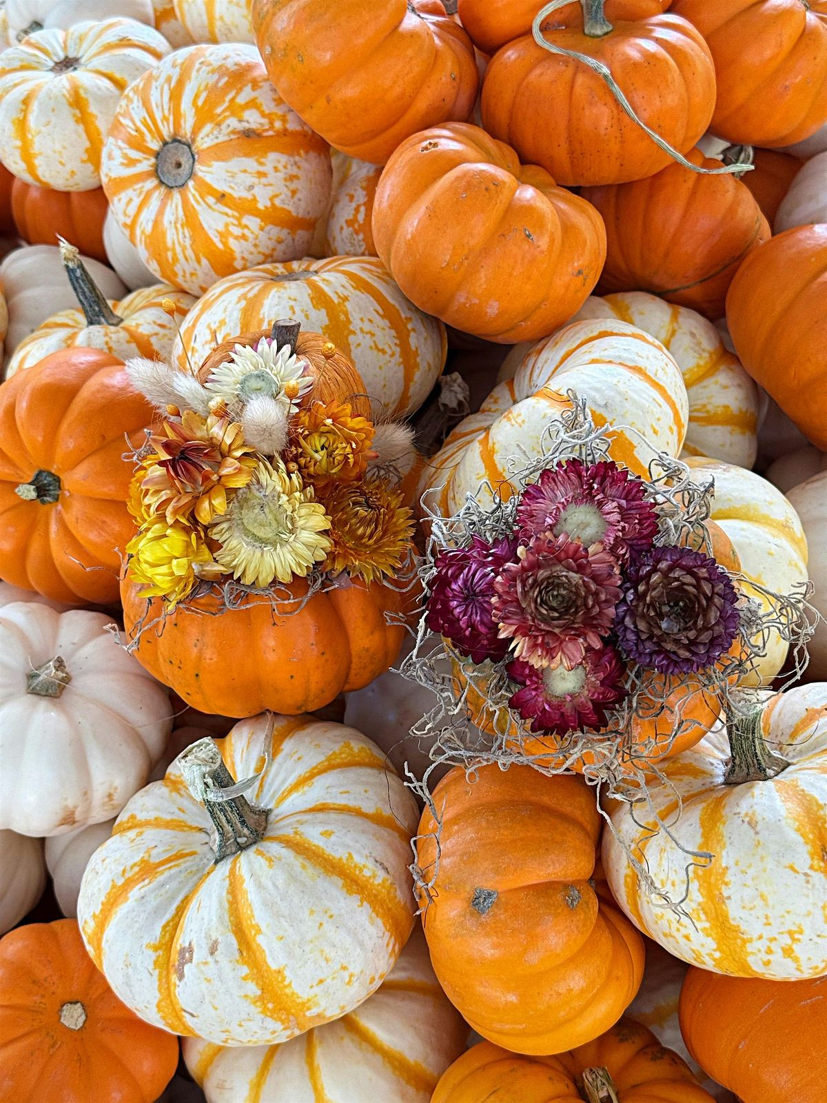 Dried Flower Pumpkin Workshop
